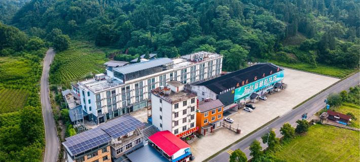 Sunflower Health - care Hotel Hotels in Shitai