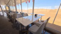 Camel shadows in the vast desert - balcony