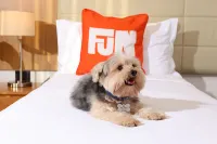 Alino Hotel - Family