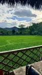 NAMKHAN SCENIC HOTEL (Free pick-up by pre-booking | Shuttle to Night Market & Royal Palace) - Romantic
