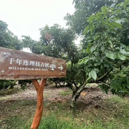 Poli Lijing Hotel (Gaozhou Yuehai Tandi Film and Television Service Center)