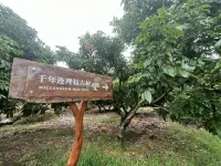 柏麗荔境飯店（高州粵海灘底影視服務中心店） - 山景