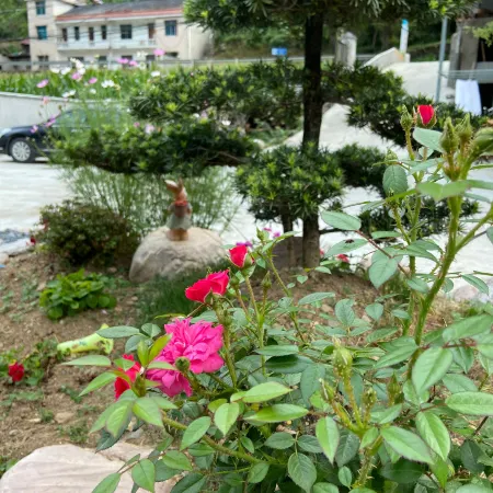 Xingchen Homestay