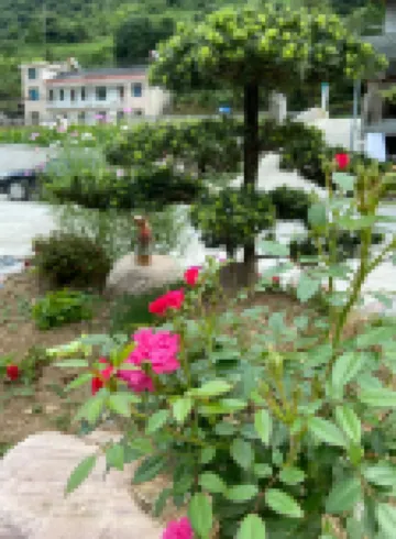 Xingchen Homestay