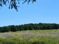 Taoyuanzhai Farm Stay