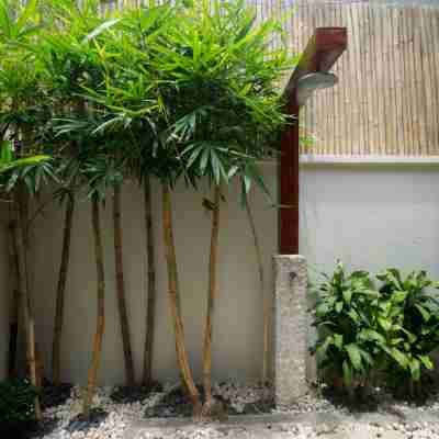 Harlan Beach Villa Boracay Hotel Exterior