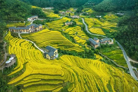 Chongyi pusu homestay