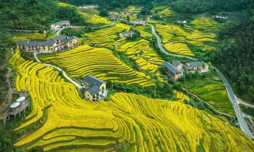 Chongyi pusu homestay