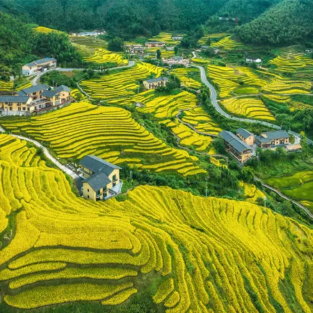 Chongyi pusu homestay