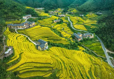 Chongyi pusu homestay فنادق في تشونغ إي