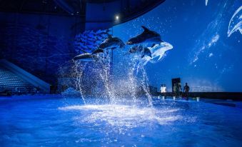 Steigenberger  Chongqing