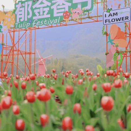 Yue Shan Yunshang · Anji Yunshang Caoyuan Tent Boutique Stay (Xiongmao Buluo Tanxian Leyuan)