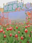Yue Shan Yunshang · Anji Yunshang Caoyuan Tent Boutique Stay (Xiongmao Buluo Tanxian Leyuan) - โรแมนติก