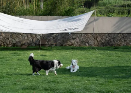 Moganshan Dashuxia · Creek Tracing Swimming Pool Mingsha Wenquan Vacation Boutique Stay Отели рядом с достопримечательностью «Yu Village Cultural Market»