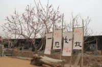 JingningYard - วิวภูเขา