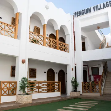 Penguin Village Dahab