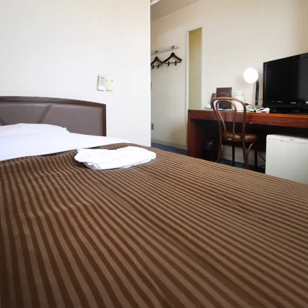 Royal Inn Kakegawa (Station Hotel 2)