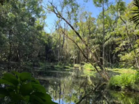 Doichang View Hotels in Mae Suai