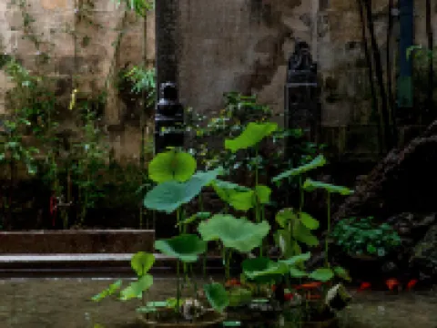 宏村溪雲畔月•リゾートコレクション徽州百年名宅藝術民宿 黟県のホテル