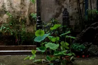 Hongcun xiyunpan moon • holiday selected Huizhou century famous house art B & B