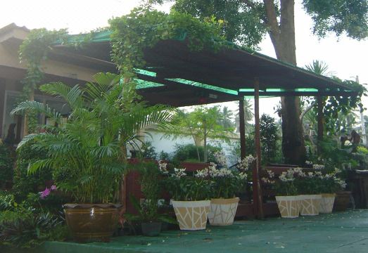 코코넛 홈 리조트