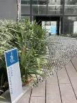 The Shore - by Shorever Amor Hotels in Gaya Island