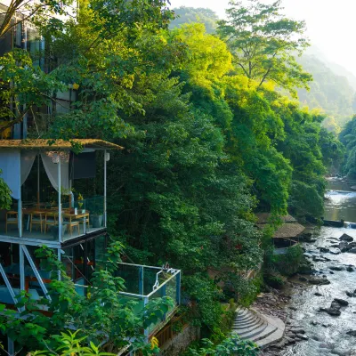 Mount Qingcheng Three Cats  Forest Spa Homestay Hotels near Wenhua Village Pastoral Style Woody Flower Viewing Ecological Park