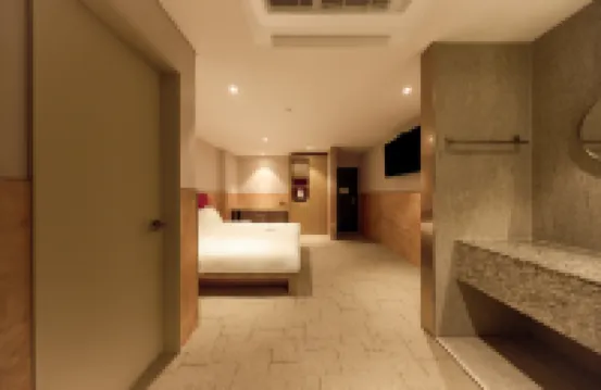 Capace Hotel Gangnam 道路谷公園周辺のホテル