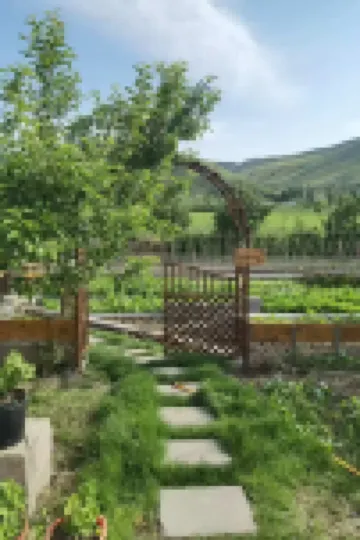 Konger Ningwu Ju Wu Su Homestay in Gongliu County Hoteles en 