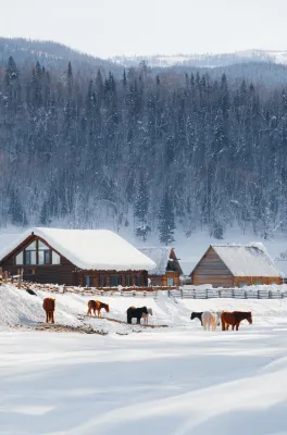 Mountains Like This • Natural Aesthetics Garden Courtyard Homestay (Baihaba Old Village Branch) Hotels near Xinjiang Kanas National Geopark