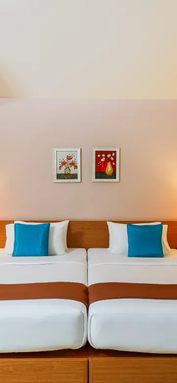 ห้องเอ็กเซ็กคูทีฟ เตียงคิงไซส์ ติดสวน