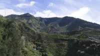 Emerald Cabin Dieng