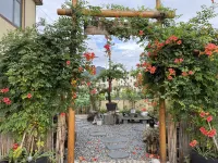 Wangxian Valley Moyuan Homestay - Romantic