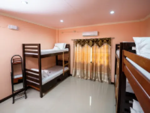 自由生態冒險公園由 Cocotel 提供 波克酒店