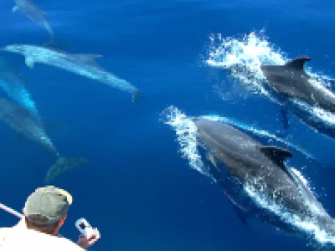 Kaani Beach Hotel Hotels in Maafushi