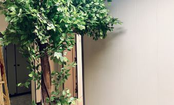 Dayu Esports · Audio-Visual · Fitness Themed Homestay (Xinchengzi)