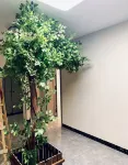 Dayu Esports · Audio-Visual · Fitness Themed Homestay (Xinchengzi)