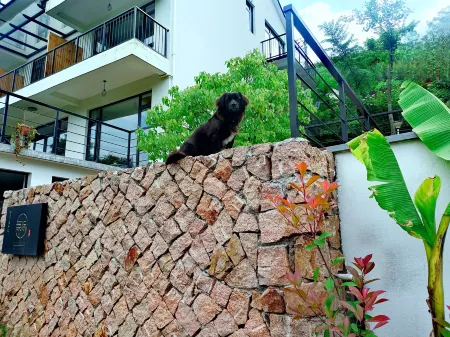 Wuji Fine•Mogan Mountain resort hotel