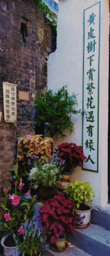 Foshan Yellow Pishu Hostel