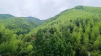 La Petronilla Boutique Hotel Moganshan - Mountain view