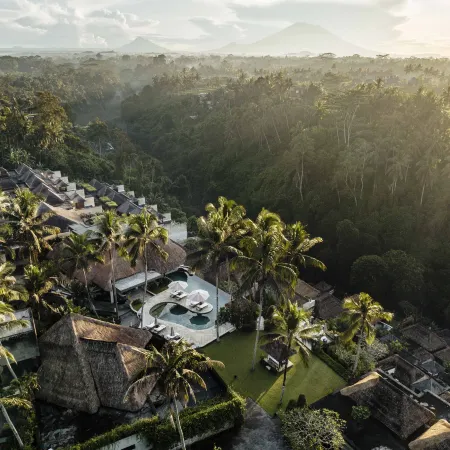 Viceroy Bali