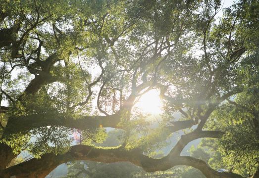 明训别院·婺源云水谣外景图