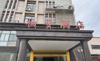 Zouzi Hotel (Nanjing Lishui Development Zone Automobile 4S Yuan Branch)