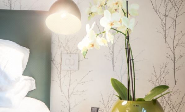 2. 더 아파트먼트 ..