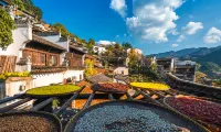 Yuepeng Joy House Inn  (Wuyuan high-speed railway station)