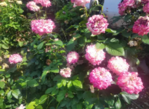 Lavande Hotel (Beijing Guomao Sihui Subway Station) Hotels near Baiziwan