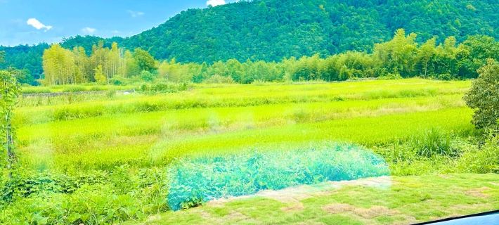 Green Inn Ningguo otelleri