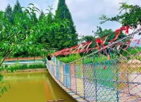 Jinwan Huiguniang Guesthouse - pemandangan pegunungan