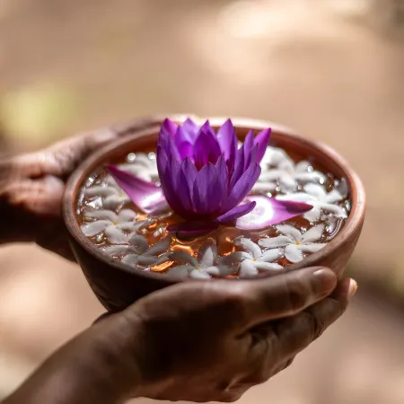Sigiriya Village