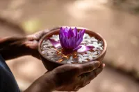 獅巖庭院 - SPA
